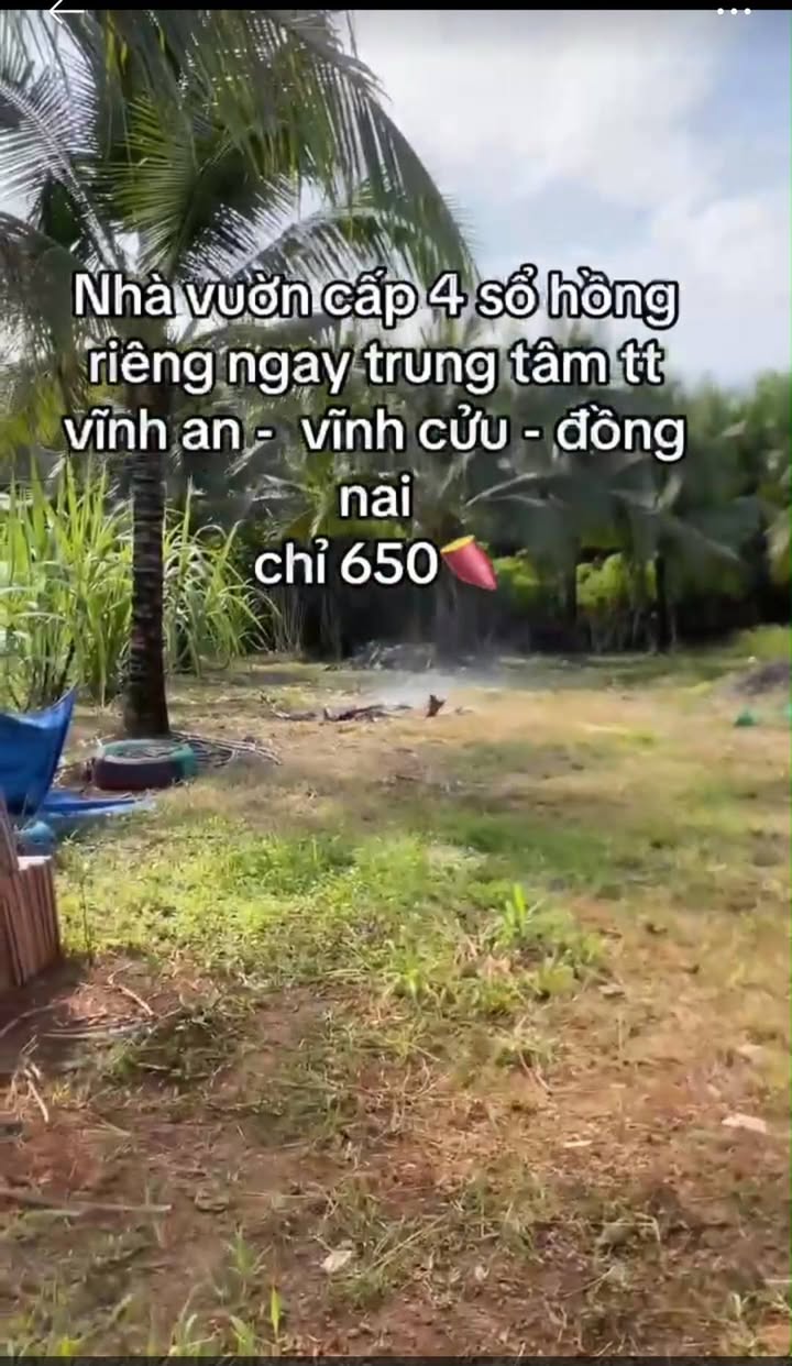 Đất Vĩnh An 4810m² giá 650 triệu - Sổ riêng, nhanh tay sở hữu!