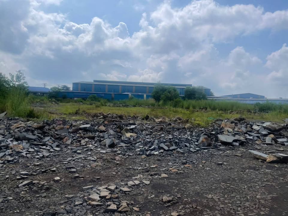 Đất kho bãi 9900m² tại Vĩnh Tân, Đồng Nai chỉ 9,9 tỷ - Cơ hội đầu tư tốt!