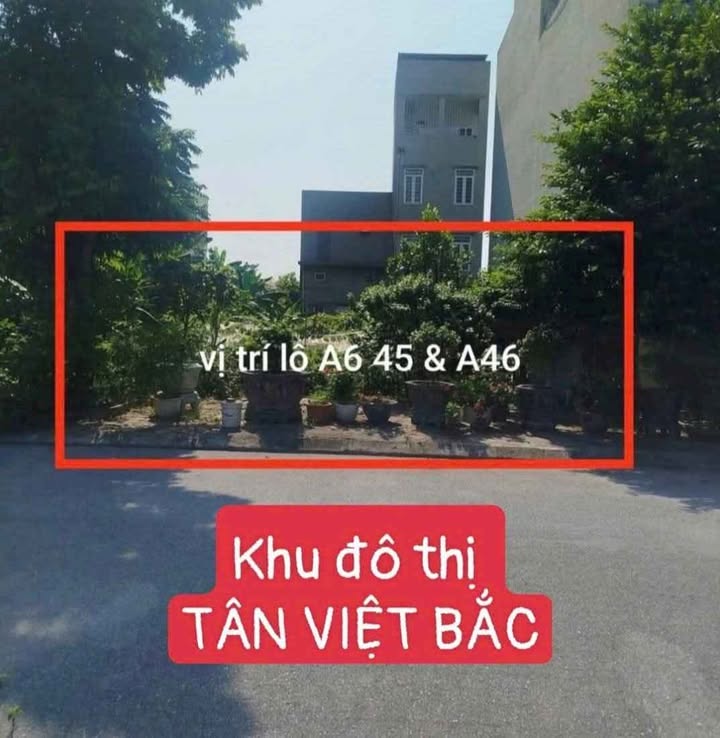 Đất liền kề Mạo Khê, Đông Triều 210m² giá thỏa thuận - Cơ hội hiếm cho đầu tư!