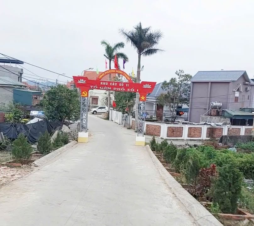 Đất nền khu phố KM11, Quảng Yên 165m² giá 1.1 tỷ - Đường ô tô vào tận đất!