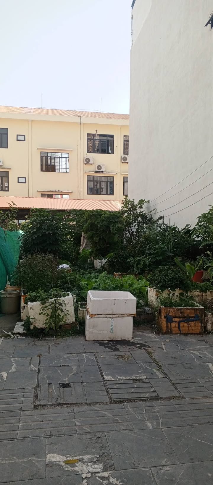 Đất nền Hồng Hải, Hạ Long 60m² giá 7.8 tỷ - Sổ đỏ chính chủ, vị trí đắc địa!