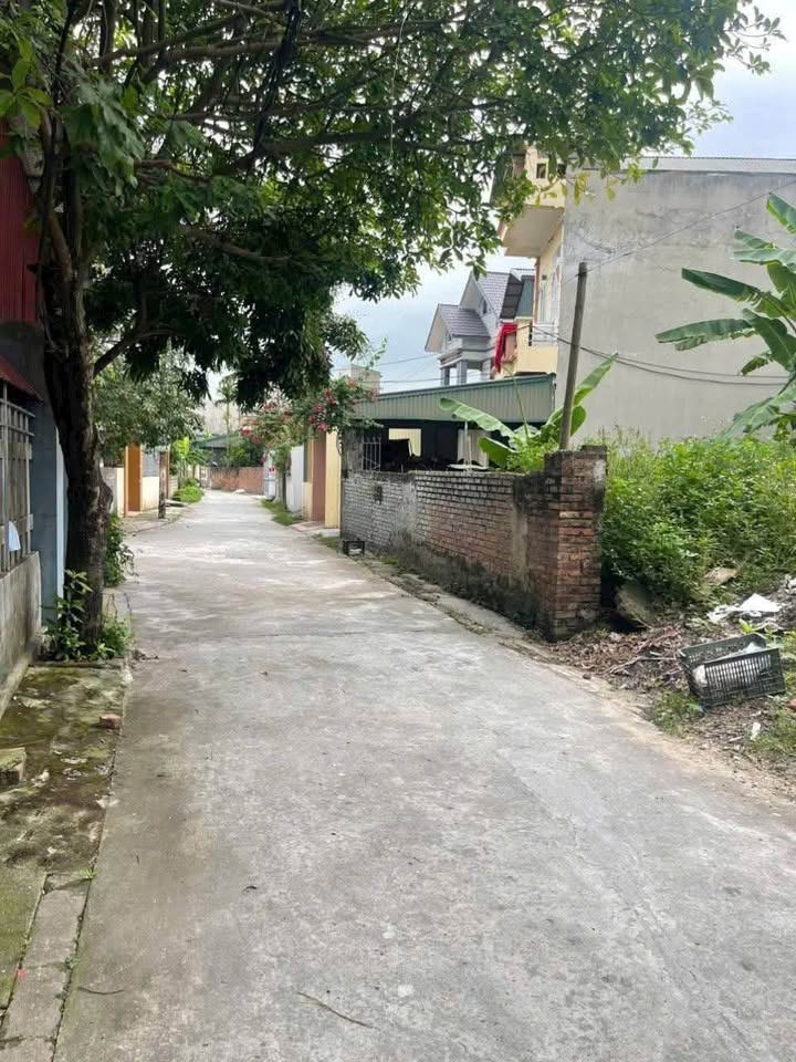 Đất khu Thanh Xá, Liên Hồng, Hải Dương 61m² giá 1.95 tỷ - Đầu tư sinh lời ngay!