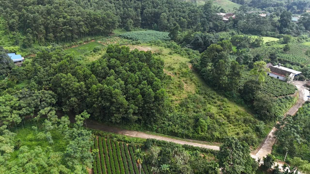 Đất nền Lục Ba Đại Từ 5000m² giá 1.6 tỷ - Cơ hội đầu tư hấp dẫn!