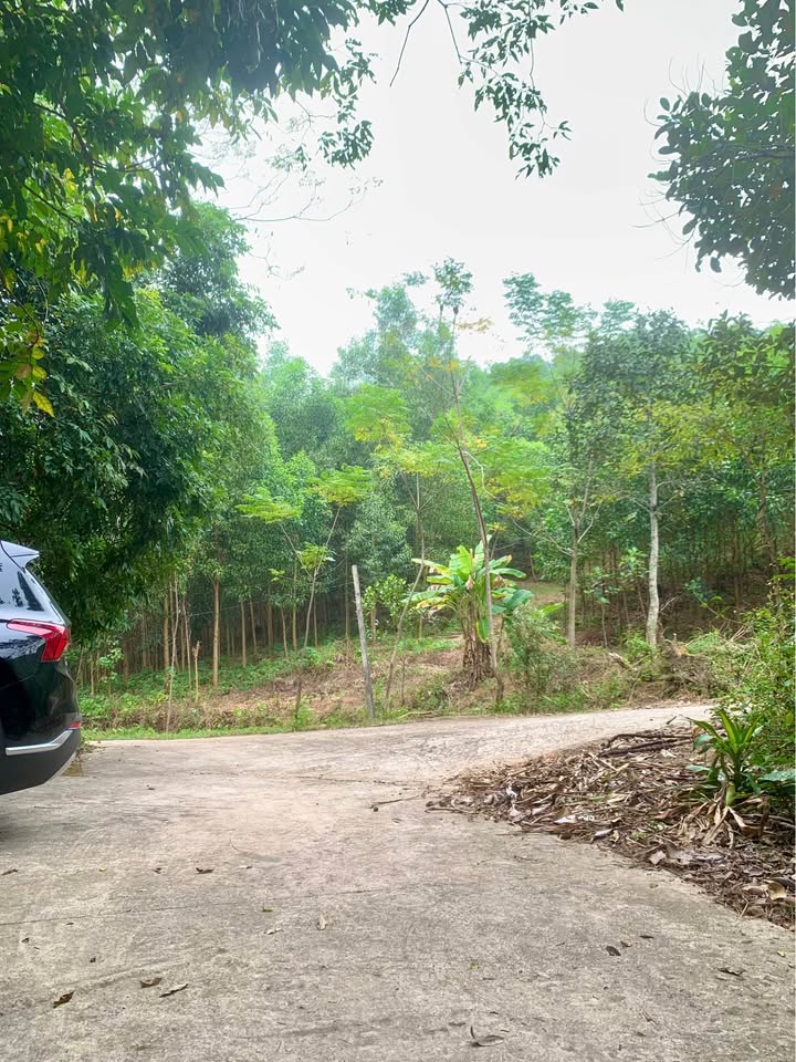 Đất Farm Hồ Ghềnh Chè Thái Nguyên 5.000m² giá 4.99 tỷ - Cơ hội đầu tư tuyệt vời!