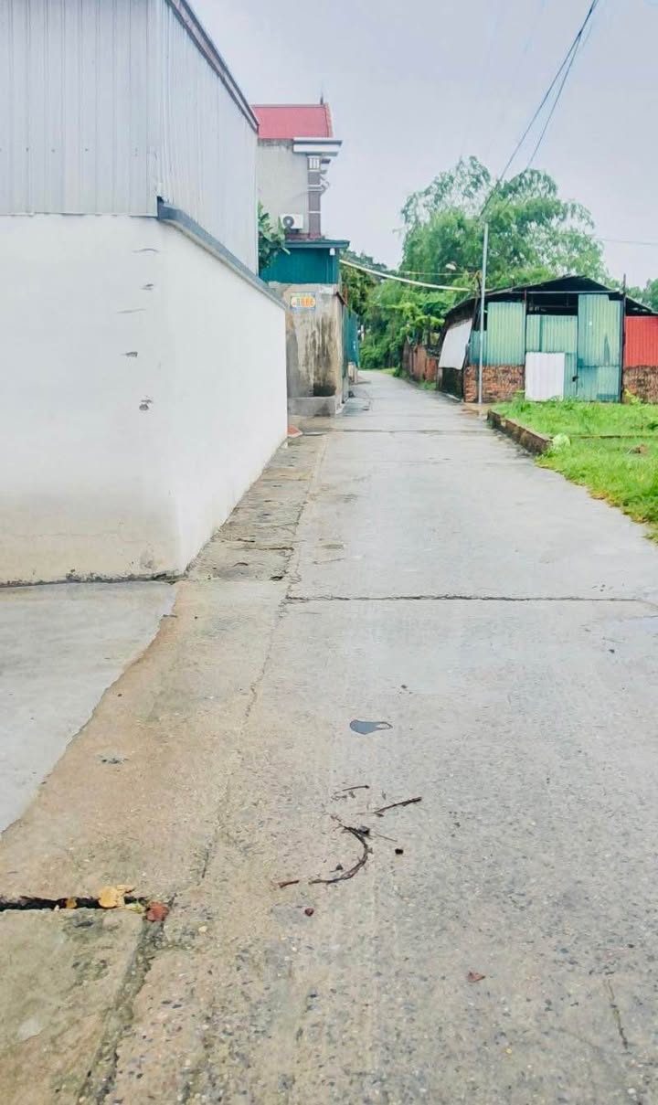 Đất nền Mai Đình Sóc Sơn 98,5m² giá 4 tỷ - Ngõ rộng ô tô vào tận đất!