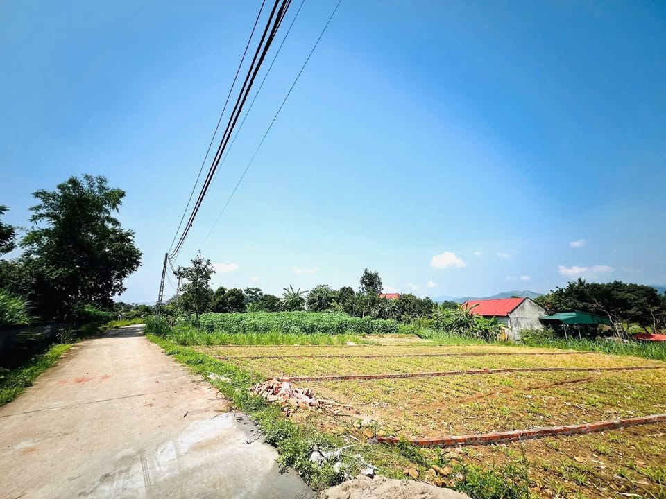 Đất thổ cư 150m² tại khu phố 4, Tề Lễ, Tam Nông - Giá chỉ 500 triệu!