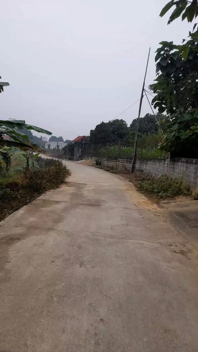 Đất nền Thanh Sơn Phú Thọ 182m² - Giá thỏa thuận hấp dẫn!