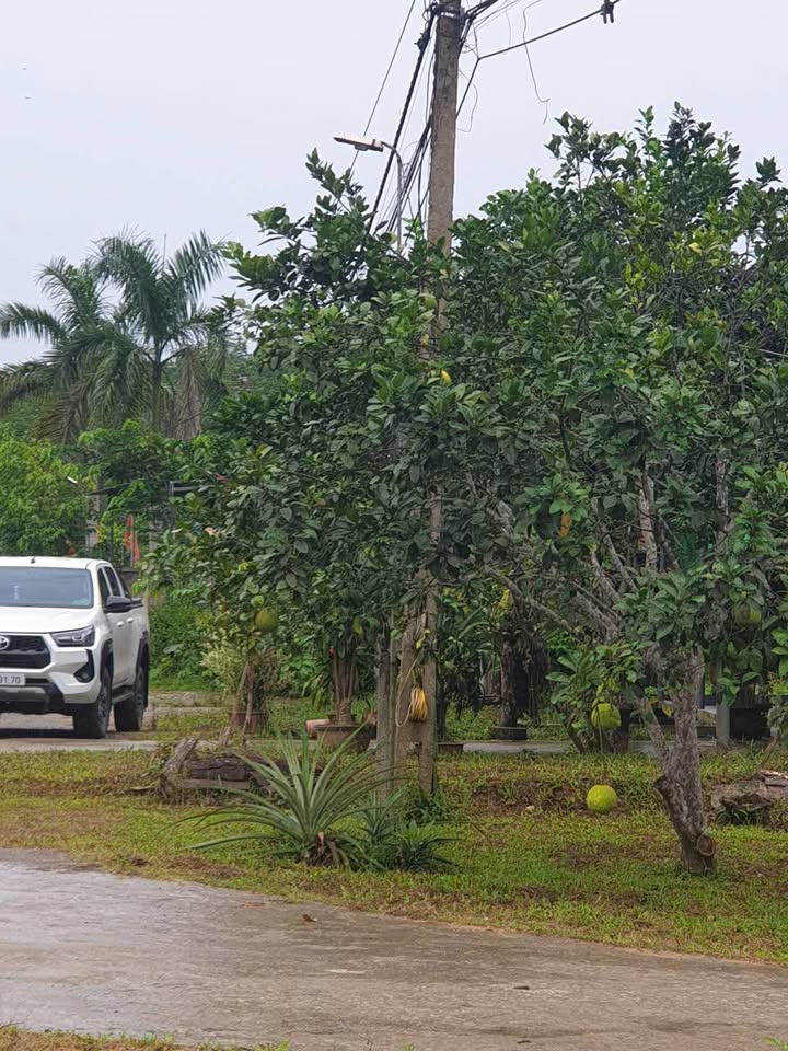 Lô đất mặt đường 15A xã Hà Linh, Hương Khê 2000m² giá 3 tỷ - Đầu tư sinh lời lý tưởng!