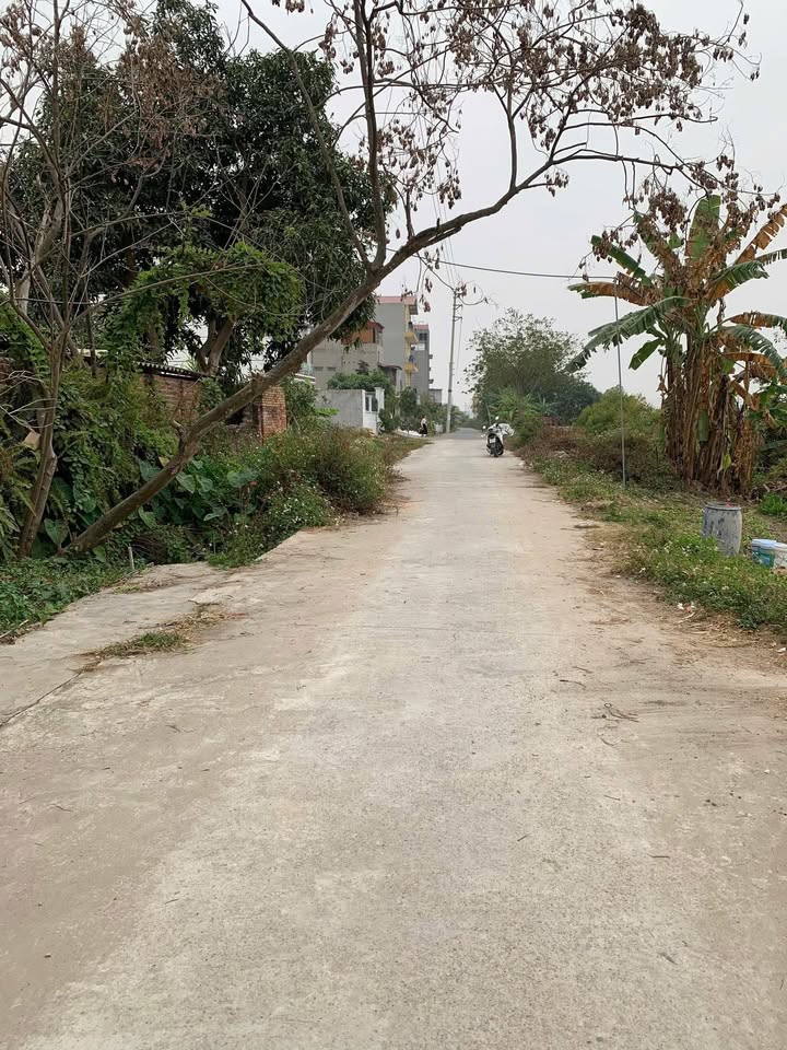 Đất nền Nam Sơn Bắc Ninh 73m² giá chỉ 3 tỷ - Cơ hội đầu tư hấp dẫn!