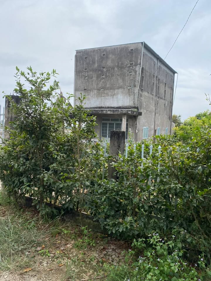 Bán đất và nhà yến tại xã Óc Eo, An Giang - Giá chỉ 4.6 tỷ!