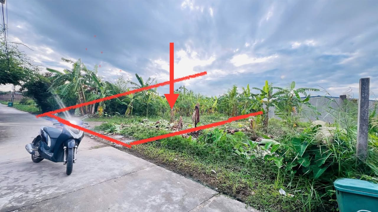 Đất nền khu phố Kiều Hạ, An Dương 52m² giá 650 triệu - Cơ hội đầu tư tuyệt vời!