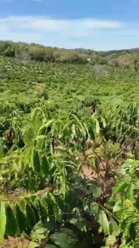 Farm 3,7ha tại Hưng Bình, Đắk R'Lấp - Đầy đủ tiện nghi, giá thỏa thuận!