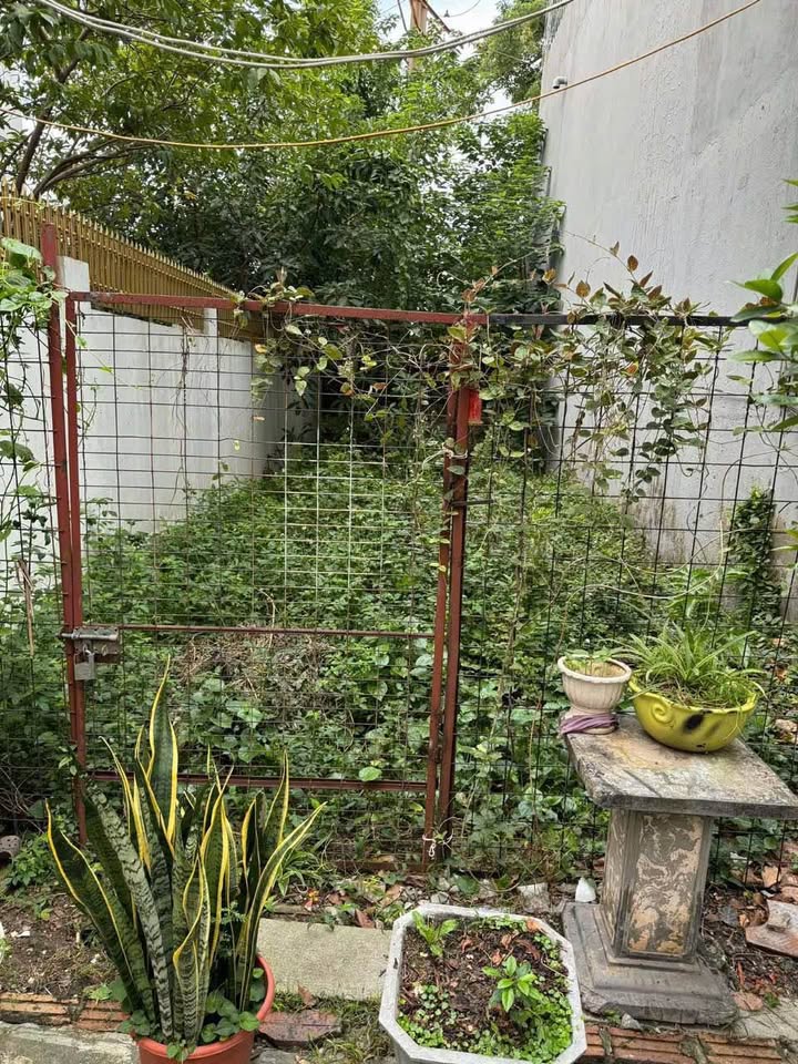 Đất nền Ngô Quyền Hải Phòng 75m² giá 999 triệu - Cơ hội hiếm có đầu tư!