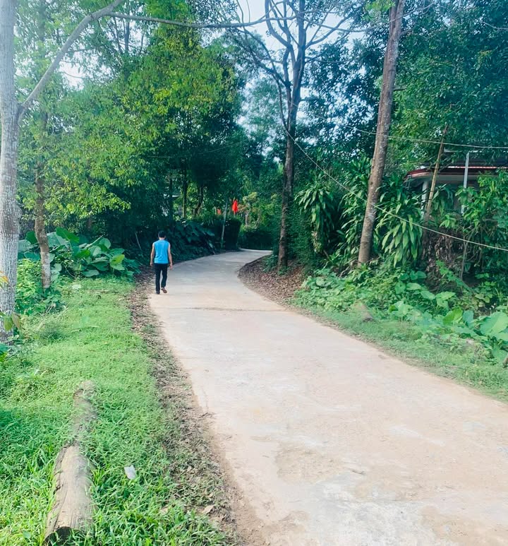 Đất nền Lộc Hoà Phú Lộc 1000m² giá chỉ 999 nghìn - Cơ hội đầu tư tuyệt vời!