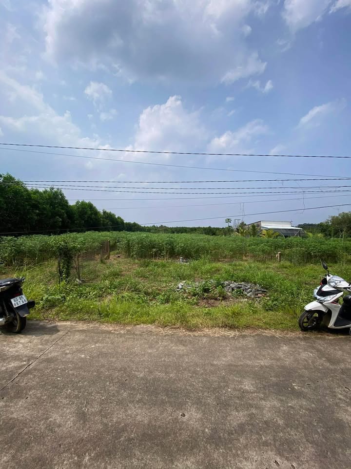 Bán đất Suối Cao, Xuân Lộc, Đồng Nai 860m² - Giá chỉ 400 triệu, cơ hội đầu tư hấp dẫn!