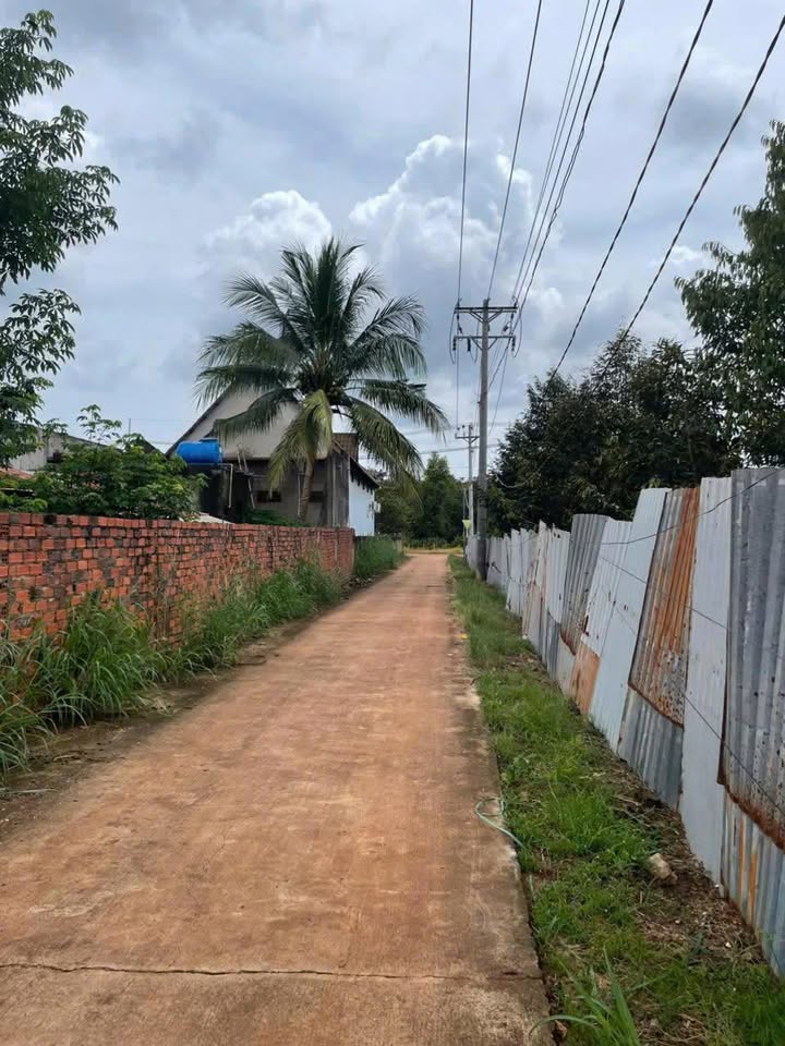 Đất thổ cư Xuân Tâm 125m² giá chỉ 300 triệu - Sổ đỏ riêng, đường bê tông!