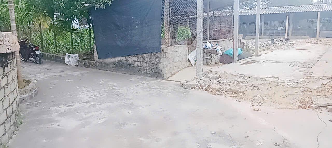 Đất nền Đồng Quế Sông Lô Vĩnh Phúc 156,78m² giá 600 triệu - Đất thổ cư cao ráo