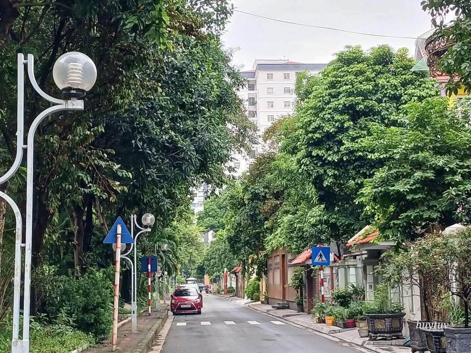 Đất đẹp Cổ Loa 700m² giá 60 tỷ - Mặt tiền rộng, đầu tư sinh lời!