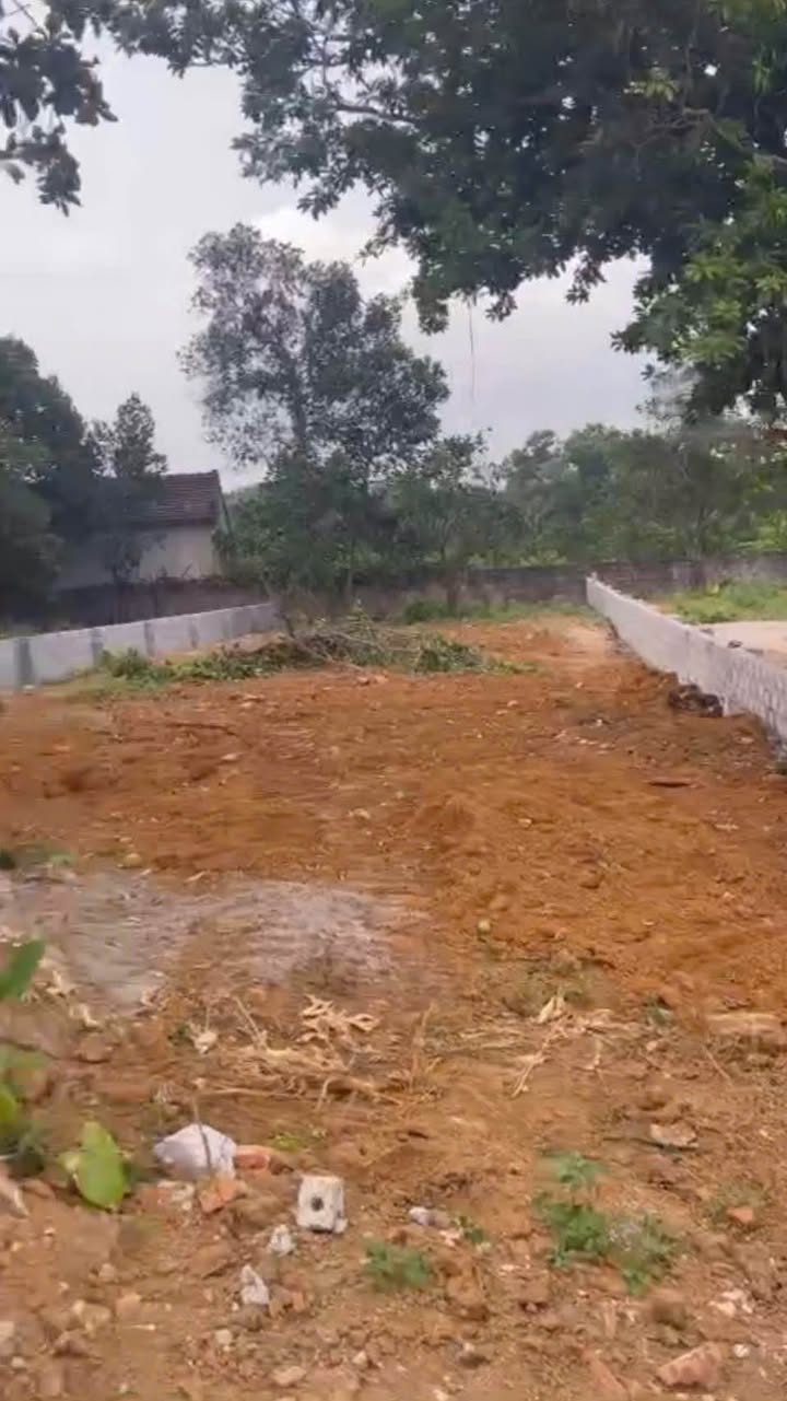 Đất nền Yên Bài Ba Vì 695m² - Mặt tiền 15m, Giá tốt cắt lỗ!