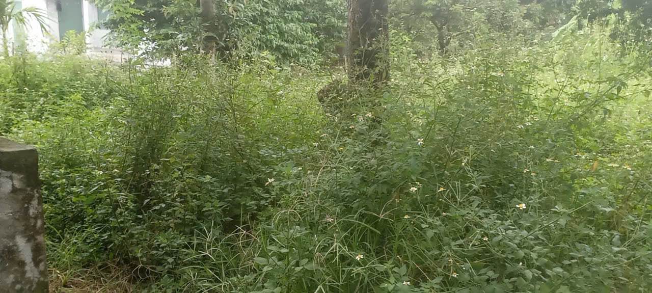 Đất nền Thôn Nhật Lệ, Hưng Yên 480m² giá 1.6 tỷ - Pháp lý rõ ràng!