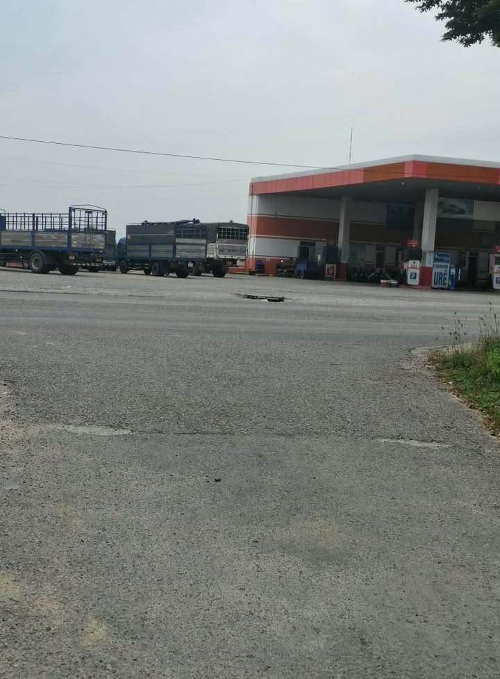 Đất thổ cư Khu Phố 6 Thị Trấn Phước Dân 150m² - Đầu tư sinh lời ngay!