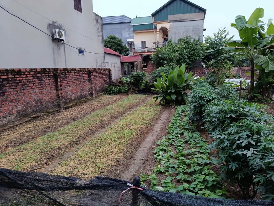 Đất thổ cư lô góc tại Yên Nho, Thuận Thành 87m² giá chỉ 2 tỷ - Đầu tư sinh lời ngay!