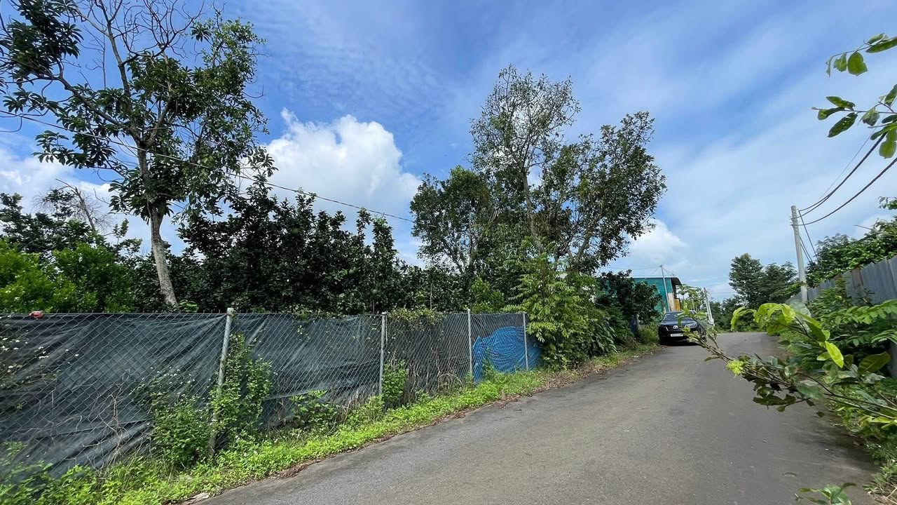 Đất vườn bưởi Dầu Giây 2012m² giá 2.2 tỷ - Sổ hồng riêng chính chủ!