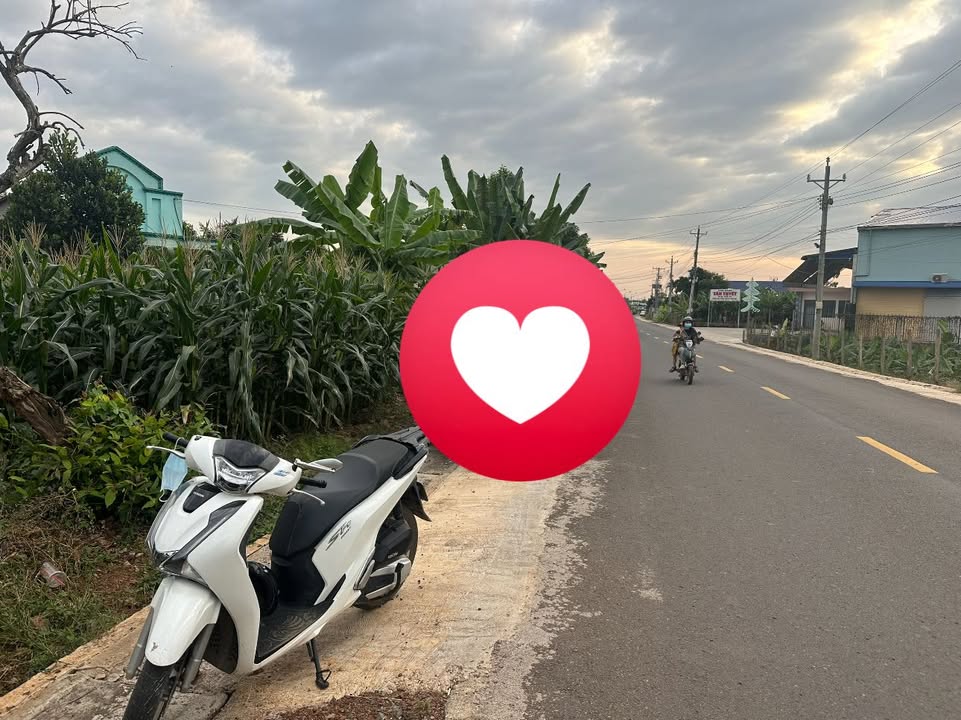 Đất nền Bàu Hàm Trảng Bom 7200m² giá 3.3 tỷ - Sổ đỏ chính chủ, giao dịch nhanh!