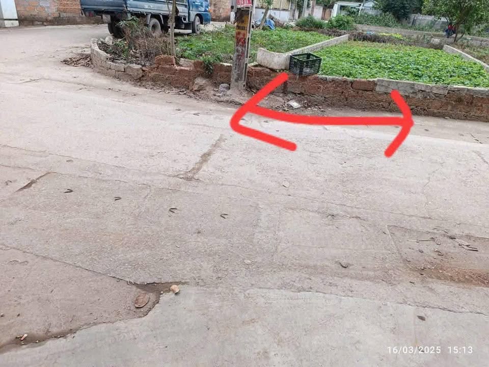 Đất nền Sơn Đông, Sơn Tây 115.5m² chỉ 2.1 tỷ - Mặt tiền 5m, vị trí kinh doanh đắc địa!