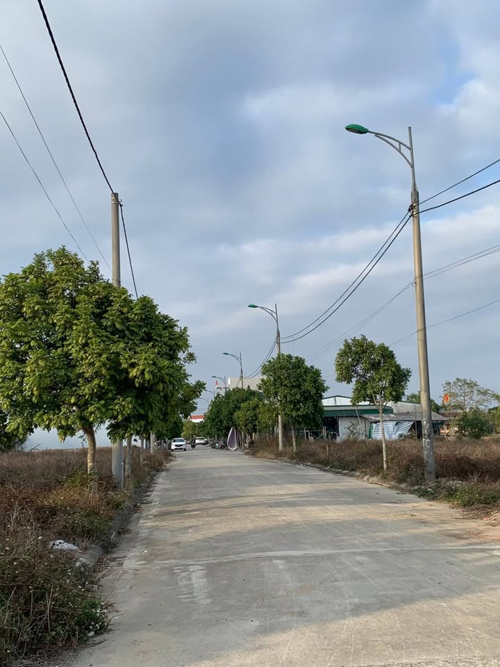 Đất nền KĐT Khả Lôi Tiêu Động 90m² chỉ 1.8 tỷ - Cơ hội đầu tư hấp dẫn!