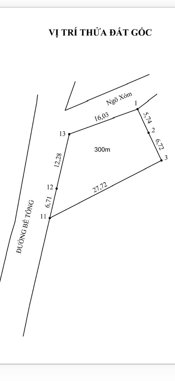 Đất thổ cư 300m² tại Cẩm Lĩnh, Ba Vì - Giá chỉ 2.4 tỷ, vị trí đẹp!