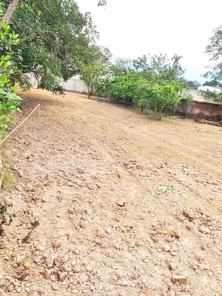 Đất thổ cư 1500m² tại Thủy Xuân Tiên - Giá chỉ 9 tỷ, sổ đỏ chính chủ!