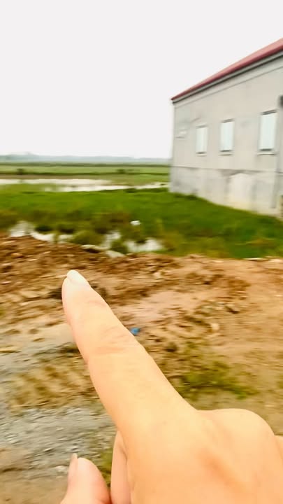 Đất quy hoạch Cẩm Thăng 140m² giá 1 tỷ - Cơ hội đầu tư sinh lời!