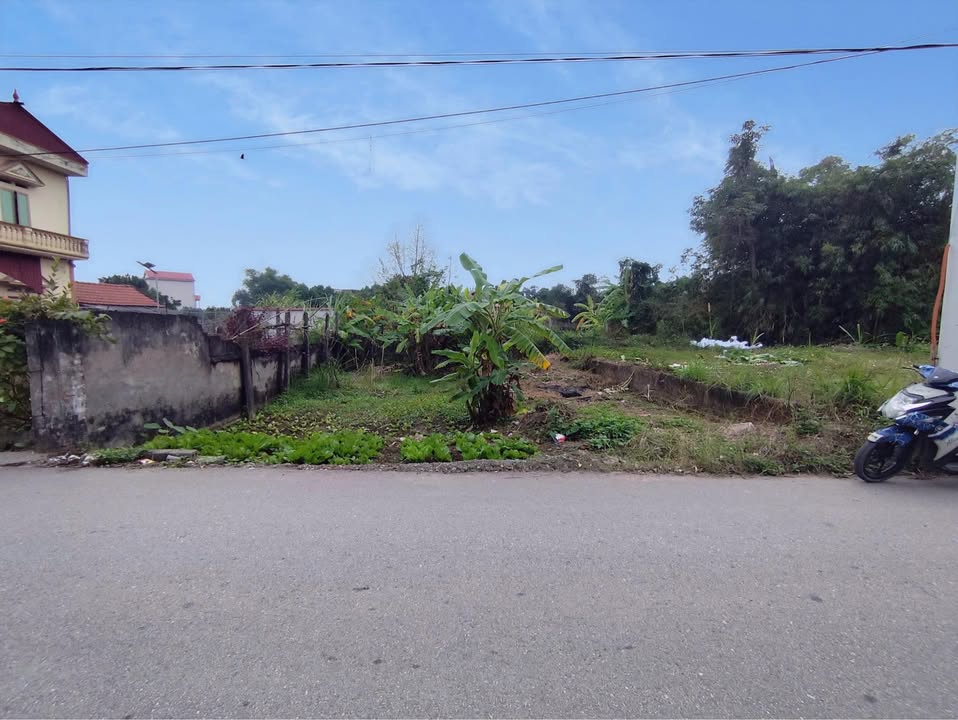 Đất nền liền kề Nam Triều, Phú Xuyên 89m² - Đầu tư sinh lời ngay!