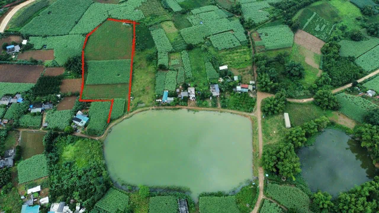 Đất nền Hợp Phong 7000m² giá thỏa thuận - Cơ hội đầu tư lý tưởng!