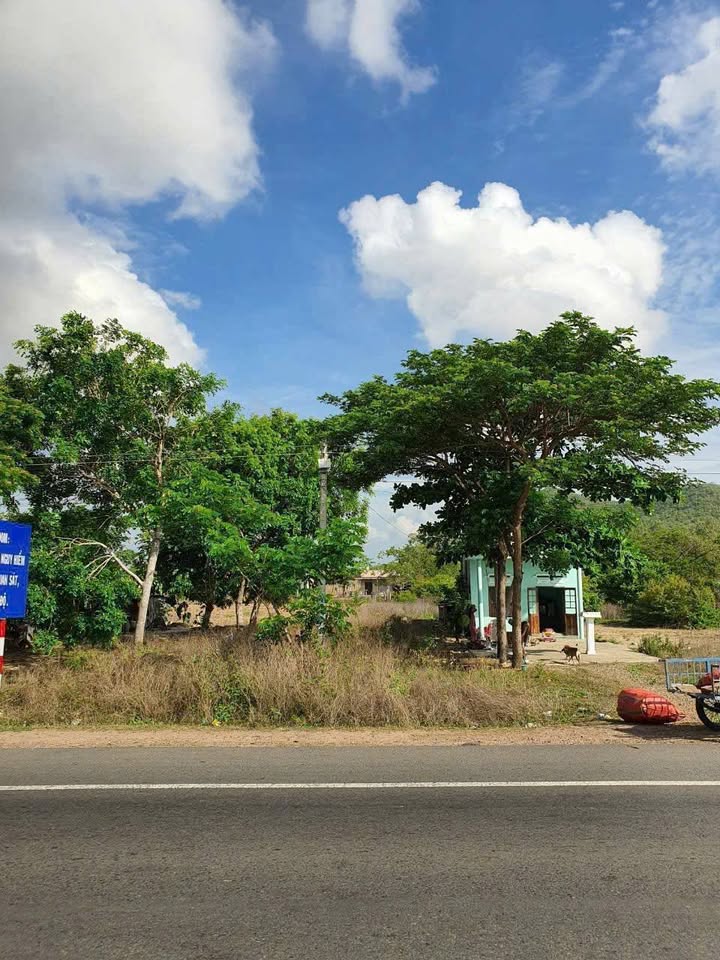 Đất mặt tiền Quốc lộ 1A, thôn Liêm Thuận, 1.243m², giá chỉ 3.15 tỷ - Cần bán gấp!