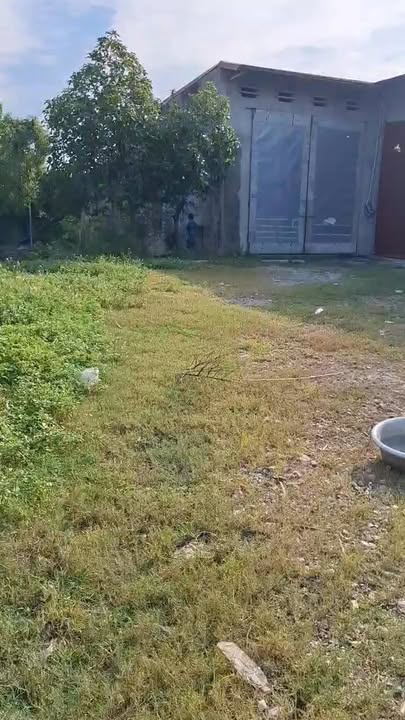 Đất sản xuất kinh doanh 12.851m² Rừng Thông, Đông Sơn - Giá chỉ 18 tỷ!