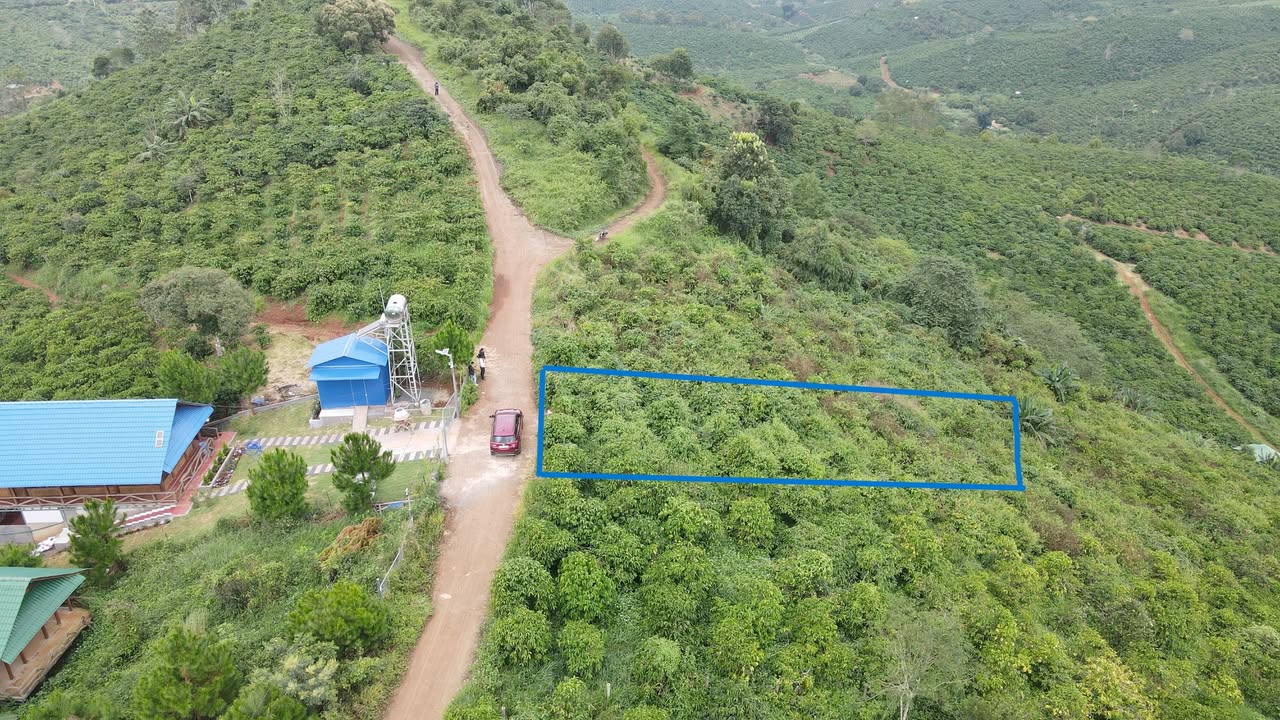 Đất thổ cư Tân Thượng - Di Linh 348m² chỉ 350 triệu - Cơ hội đầu tư vàng!