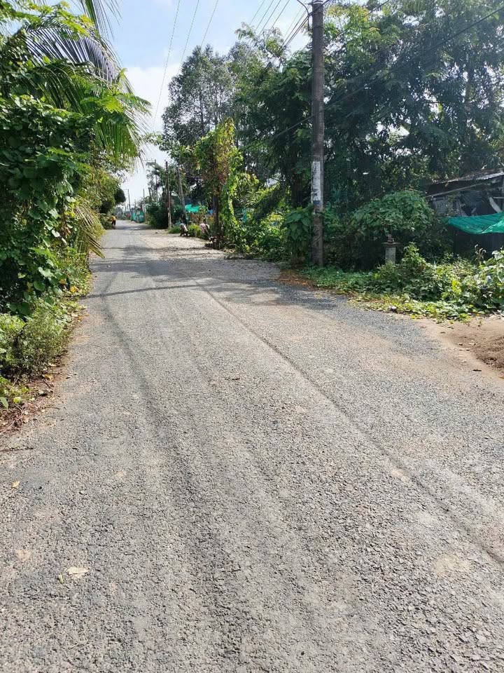 Đất nông nghiệp 65 công tại xã Tây Phú, Thoại Sơn - Giá chỉ 100 triệu/công!