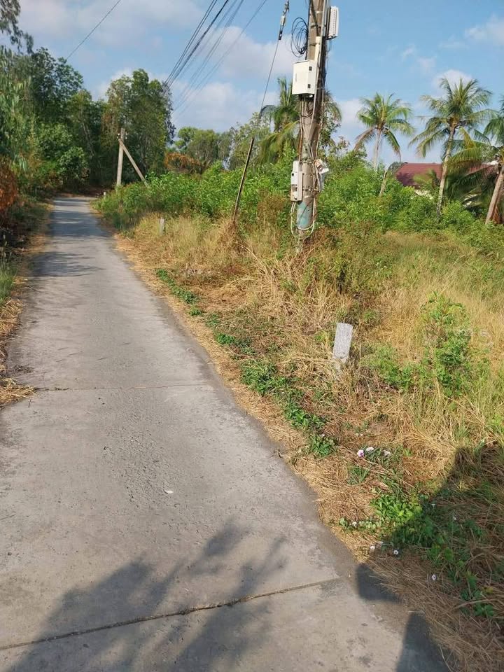 Đất nền Cái Rắn B, Cái Nước, Cà Mau 208m² - Sổ hồng chính chủ, giá chỉ 230 triệu!