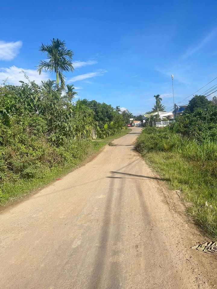 Đất nền Krông Bông 350m² giá 430 triệu - Khu dân cư đông đúc, đường thông thoáng!