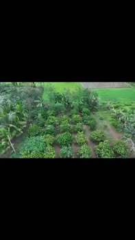 Đất Hòa An, Krông Pắc 1125m² giá 1.85 tỷ - Tiềm năng đầu tư lớn!