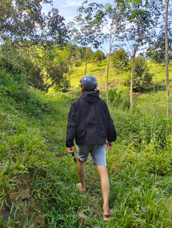 Đất nền 1ha tại Mỹ Đức, Đạ Tẻh chỉ 600 triệu - Cơ hội vàng đầu tư!