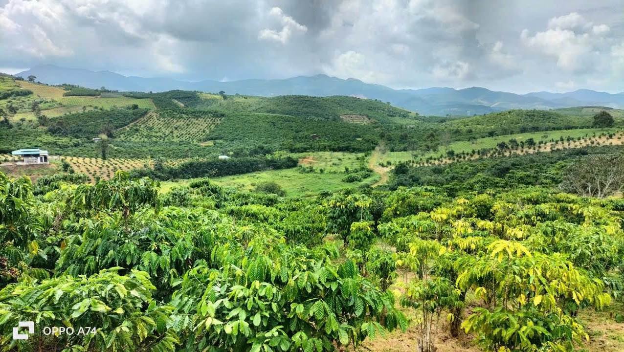 Đất nền Lộc Châu, Bảo Lộc 10,800m² giá 1.15 tỷ - View thoáng, ô tô tới nơi!