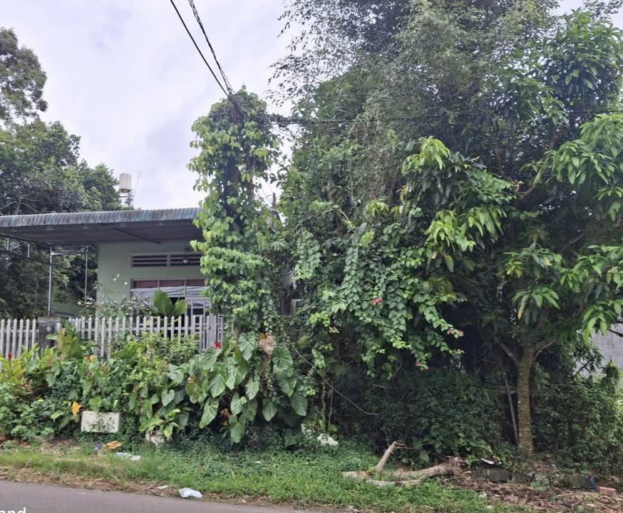 Nhà mặt tiền Phường 2 Bảo Lộc 140m² giá 2 tỷ - Cơ hội kinh doanh tuyệt vời!