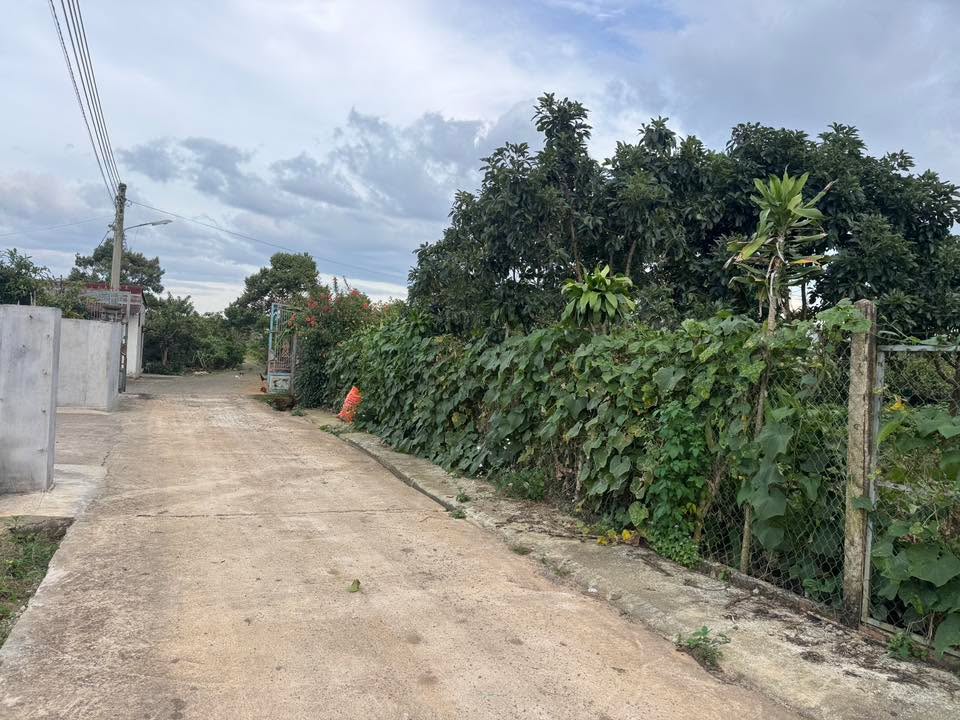 Đất nền Bảo Lộc 1000m² giá 1.75 tỷ - Đầu tư sinh lời ngay!