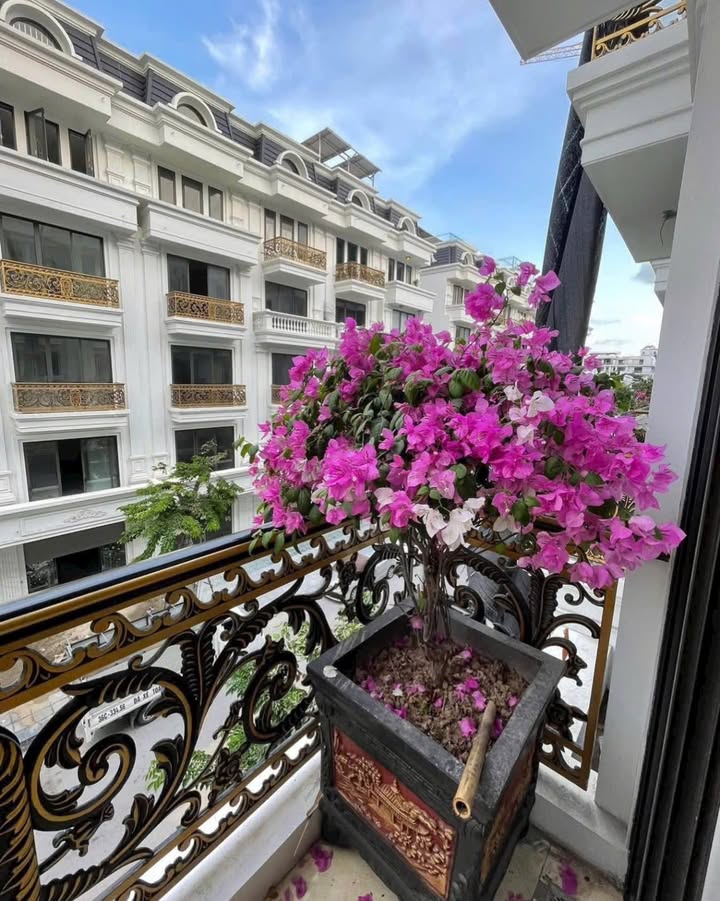 Nhà liền kề MKL Hồng Hải 82.5m² giá 19 tỷ - Vị trí đắc địa, an ninh 24/7!