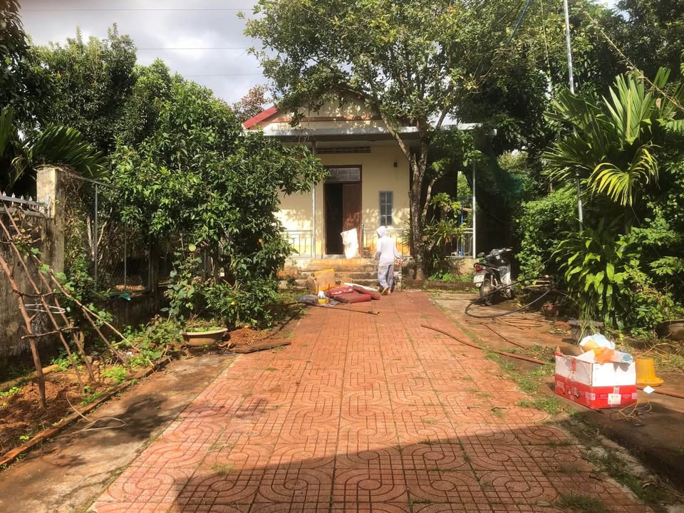 Nhà vườn cho thuê tại Ea Tam, Buôn Ma Thuột 1000m² - Không gian xanh mát lý tưởng!