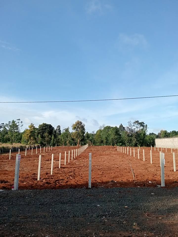 Bán 3 lô đất liền kề mặt tiền kinh doanh đường Y Moan, Buôn Ma Thuột - Tiềm năng đầu tư sinh lời cao!