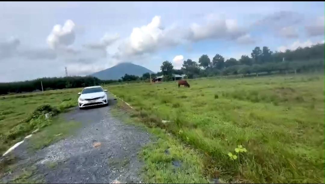 Đất nền ấp Tân Hòa, Tây Ninh 3700m² giá 1.8 tỷ - Sổ hồng chính chủ!